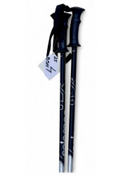 SALOMON