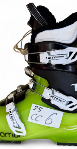 T3